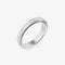 silver spinning hammered ring