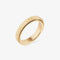 gold spinning hammered ring