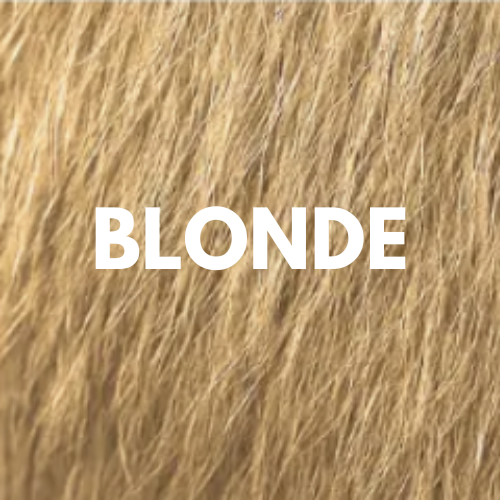 The Full Beard Kit™